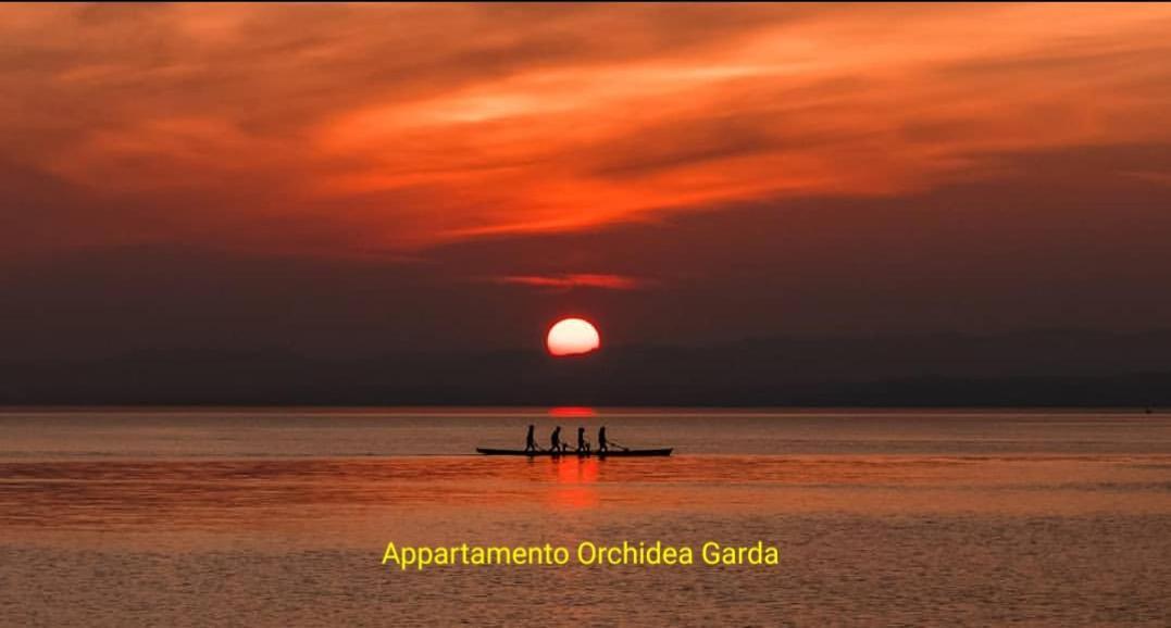 Appartamento Orchidea Garda Garda  Luaran gambar