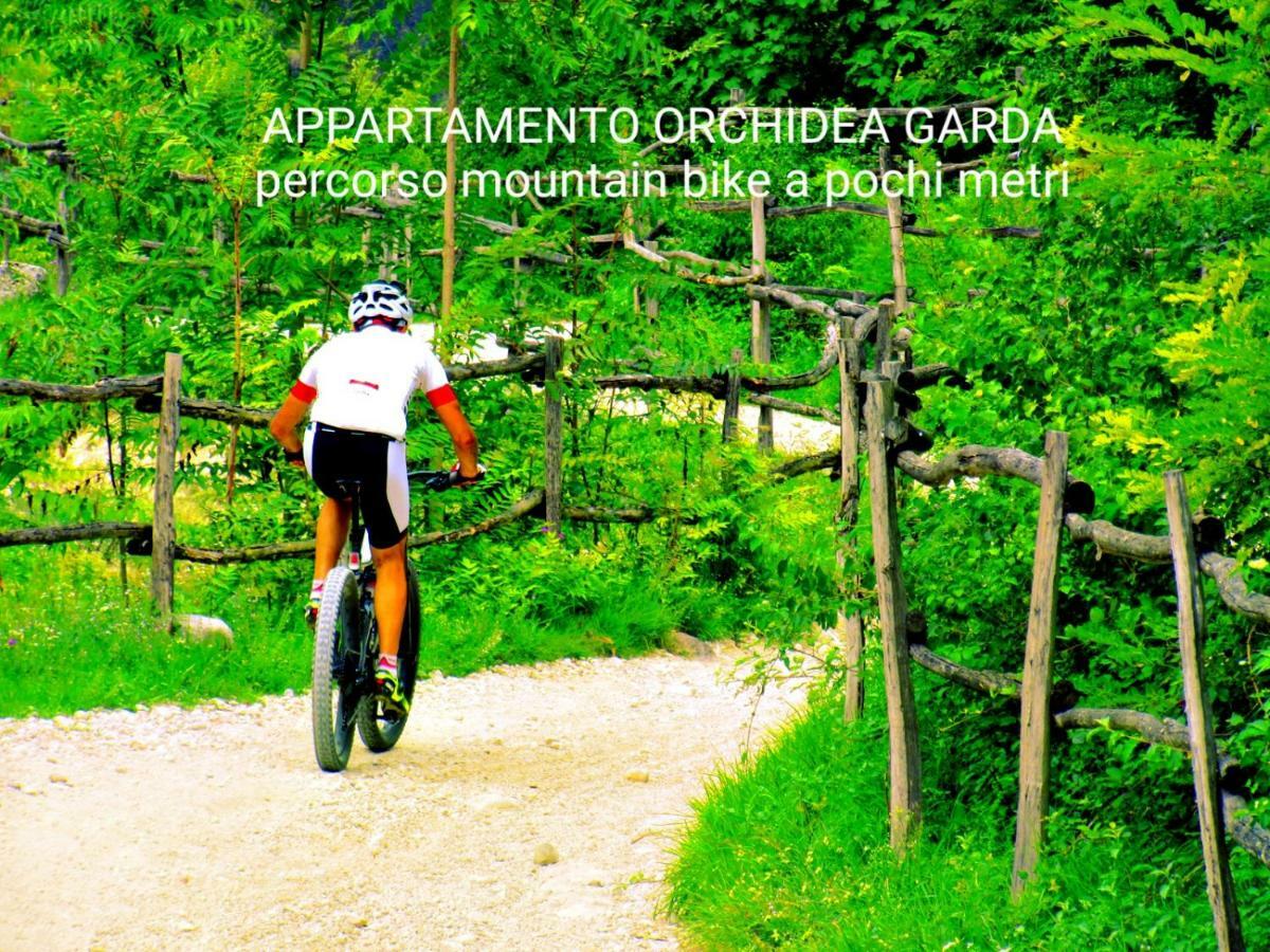 Appartamento Orchidea Garda Garda  Luaran gambar
